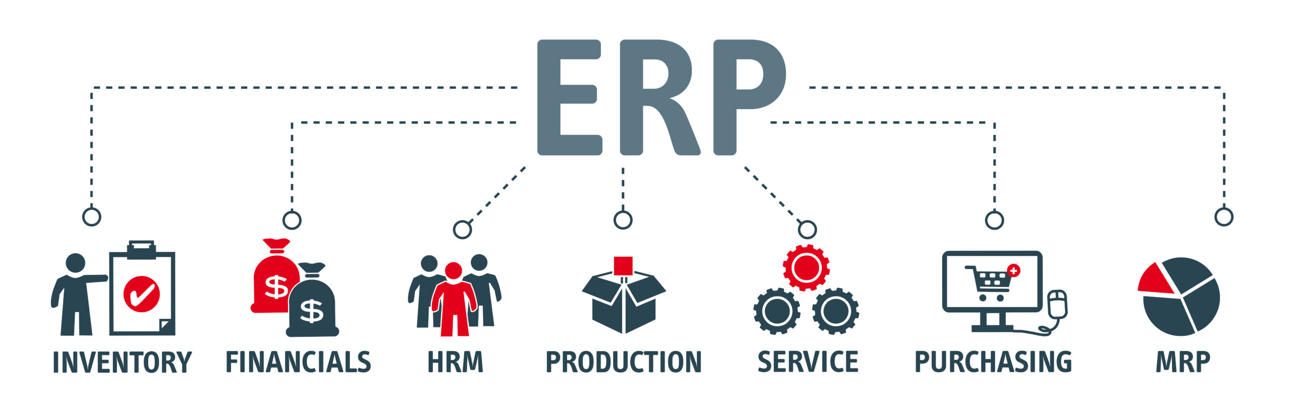 Custom ERP Development